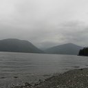 ���� �����, �������, 42 ���� - ��������� 17 �������� 2011 � ������ �������