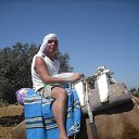 ���� Ser, �����-���������, 46 ��� - ��������� 14 �������� 2010 � ������ ���� ����������