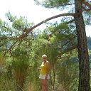 ���� ����, ����� - ��������� 12 ������� 2012 � ������ ���� ����������