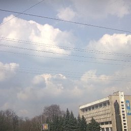 ���� �����, ���������, 38 ��� - ��������� 2 ��� 2010