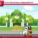  , , 74  -  20  2010   PetLove