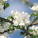 ���� �����, ��������, 45 ��� - ��������� 3 ������� 2010 � ������ ����� �������