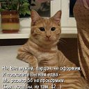 ���� �������, ��������� - ��������� 23 ����� 2012 � ������ ���� ����������