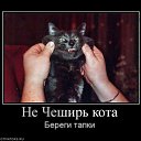  Nataly, , 52  -  18  2010   Funny Cats