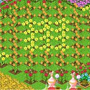 ���� ������� �., ����� - ��������� 29 ����� 2013 � ������ ������� �������