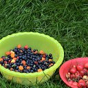  , -, 57  -  12  2012   