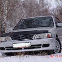 ���� ������, �������, 44 ���� - ��������� 8 ������ 2013 � ������ ���� ����������