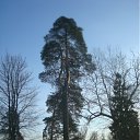 ���� ������ �������, �������, 77 ��� - ��������� 31 ������ 2012