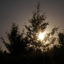 ���� �������, ������, 28 ��� - ��������� 3 ������� 2010 � ������ �������� ��������