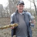 ���� ����������, ���������, 44 ���� - ��������� 7 ��� 2013 � ������ ���� ����������