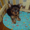 �����! �� ������� ���� ������