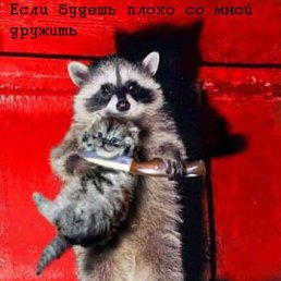 ������, ������, 57 ���