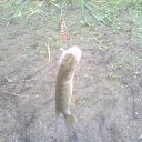 ���� �����, �����, 45 ��� - ��������� 21 ���� 2013 � ������ ���� ����������