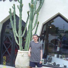 ����, �������, 34 ����