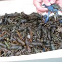 ��� � ������ ������!