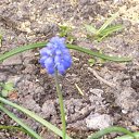 ���� Zaynah, �������, 44 ���� - ��������� 22 ���� 2009