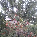 ���� �������, ������, 57 ��� - ��������� 14 ���� 2012 � ������ ���� ������