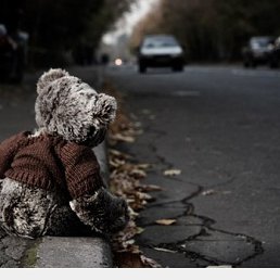 ���� ��������, ������������, 36 ��� - ��������� 18 ������ 2013