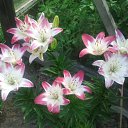 ���� ������, ������ - ��������� 9 ���� 2012 � ������ �����