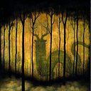         Andy Kehoe