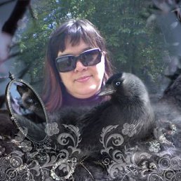 �����, ������, 66 ���