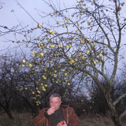 ����, �����-���������, 61 ���