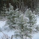 ���� ������, ������������ - ��������� 15 ������ 2012 � ������ ������ �� ���������