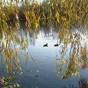 ���� ��������, �������-���������, 48 ��� - ��������� 12 ������ 2012 � ������ ���� ����������