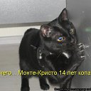 ���� ������ ��������, ������ - ��������� 9 ����� 2013 � ������ ���������