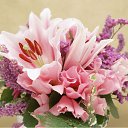 ���� ����� - ���������� ��������!!!, �����������, 56 ��� - ��������� 16 ������ 2010 � ������ ������ۻ