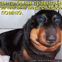 ���� ����, �����, 50 ��� - ��������� 8 ��� 2010 � ������ ������������