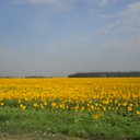 ���� �������, ������������, 51 ��� - ��������� 23 �������� 2011 � ������ �������