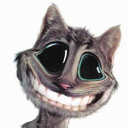 Oleg, �������, 45 ���
