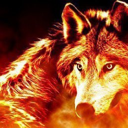 ���� Y, ���������, 63 ���� - ��������� 26 ����� 2013