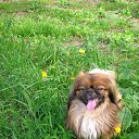 ���� �������, ���������, 47 ��� - ��������� 20 ������ 2013 � ������ ���� ����������