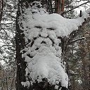 ���� �������, �����������, 64 ���� - ��������� 27 ������� 2013 � ������ ������ �������