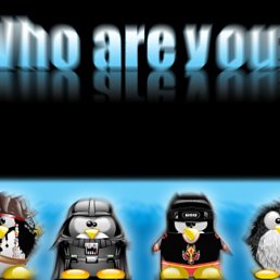 ���� Pilotist, �����-���������, 34 ���� - ��������� 22 ���� 2010