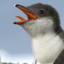 � � ��� ! �� ������� �������