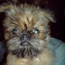 ���� ������, ������ - ��������� 3 ������ 2011 � ������ �������