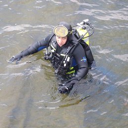 ������, �����, 44 ����