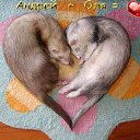 ���� ������, ��������, 35 ��� - ��������� 1 ��� 2011 � ������ �������