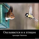 ���� Andrei, ���������, 56 ��� - ��������� 21 ������ 2012 � ������ ���� ����������