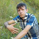 ���� ������ ����, ������, 51 ��� - ��������� 17 �������� 2012