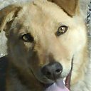 ���� ������, �����, 47 ��� - ��������� 2 ������ 2010 � ������ �PetLove�