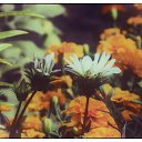 ���� ��������, �������, 58 ��� - ��������� 11 ���� 2013 � ������ ������ �� ���� �������