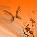 ���� �����, �������, 44 ���� - ��������� 27 ������ 2010 � ������ ��������)�