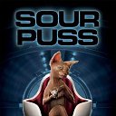 ���� "@����", �����-���������, 25 ��� - ��������� 26 ������� 2010 � ������ �Catc &amp; Docs�