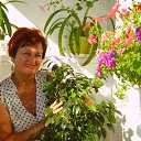 ���� ������, �������� - ��������� 29 ���� 2013 � ������ ����� 2013�