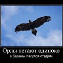  Oleg, , 46  -  7  2011    