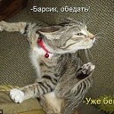 ����� ����� �������� � ����������: VK.com/newPic �� ������� �������